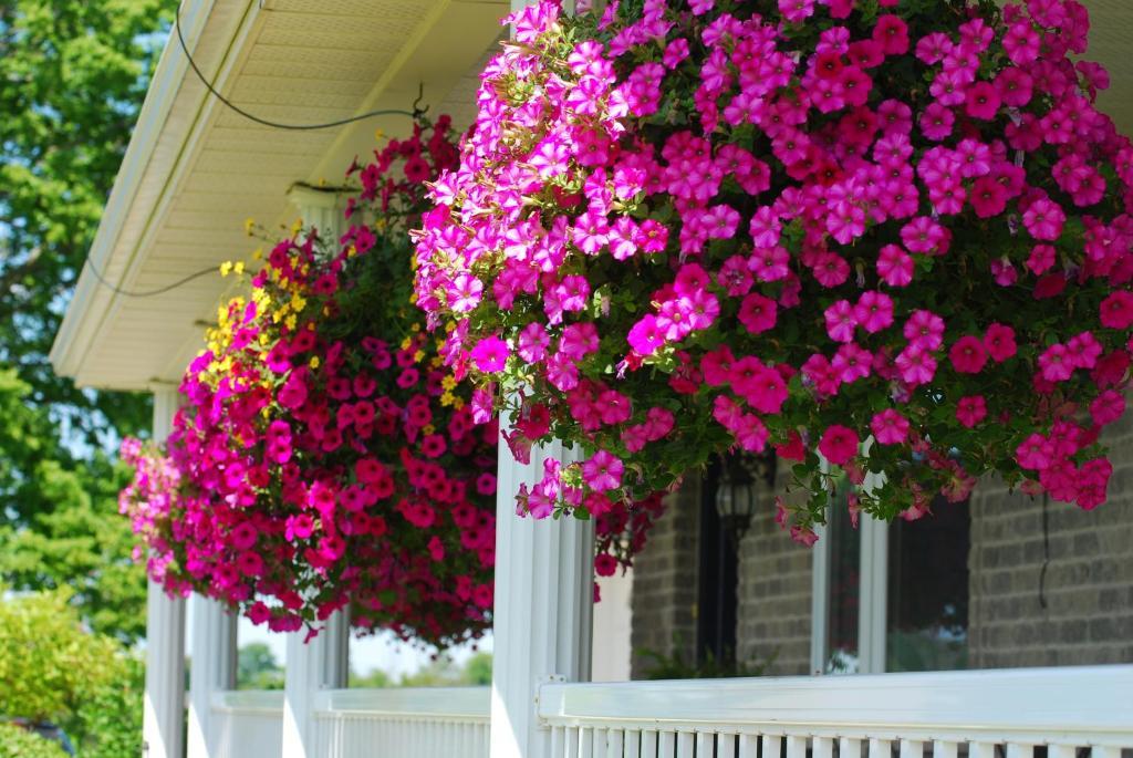 Golden Pathways Retreat B&B Peterborough Exterior foto